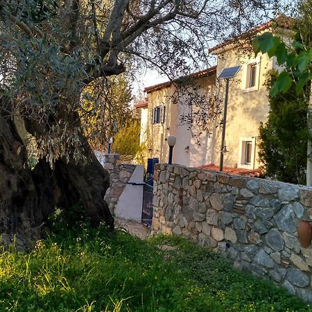 9 Musses Hotel Apartments Skala Mistegnon エクステリア 写真