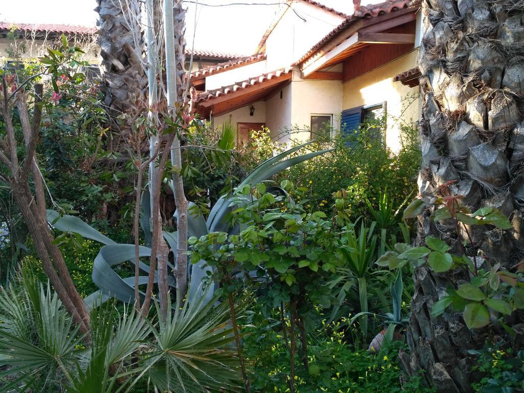 9 Musses Hotel Apartments Skala Mistegnon エクステリア 写真