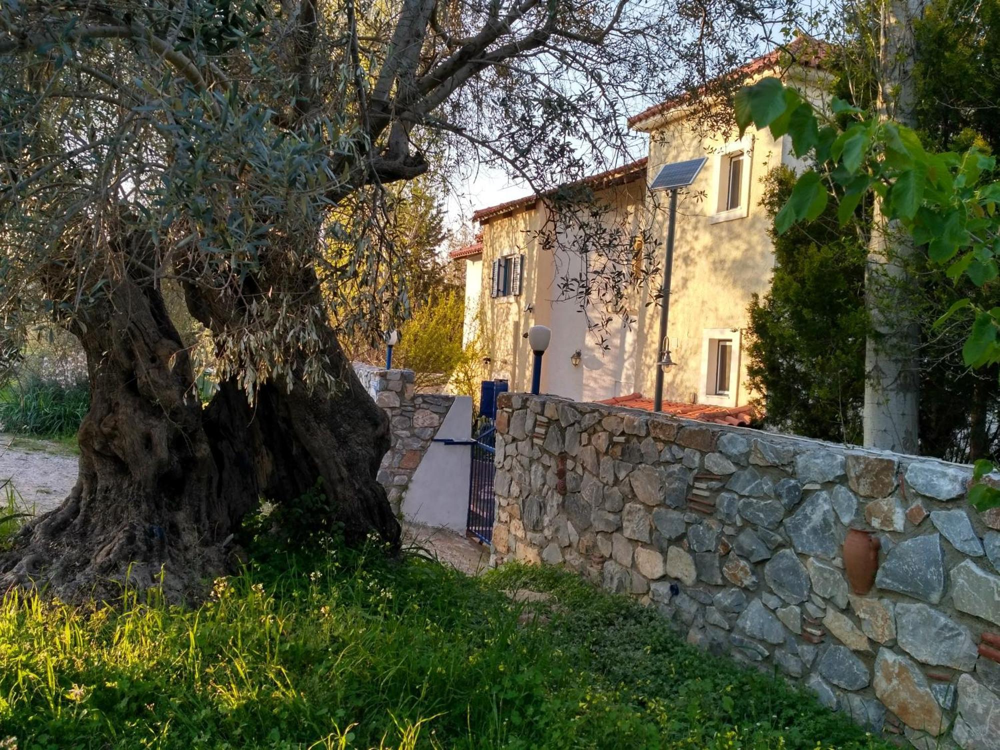 9 Musses Hotel Apartments Skala Mistegnon エクステリア 写真