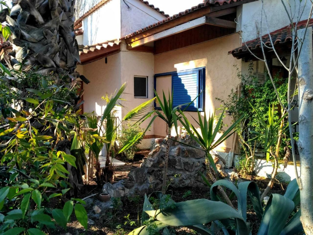 9 Musses Hotel Apartments Skala Mistegnon エクステリア 写真